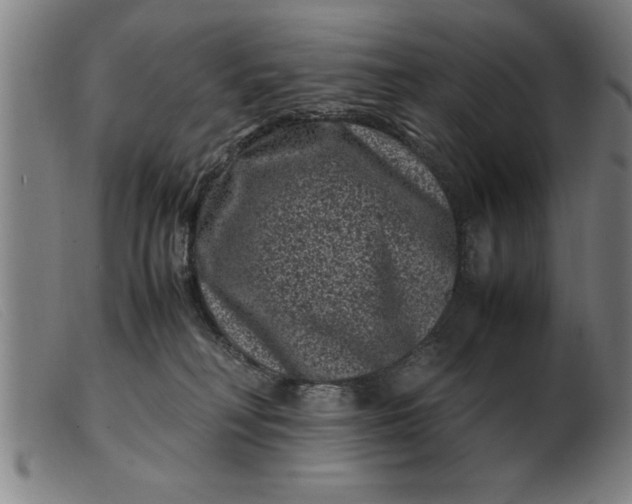 X0000099470230200805231838