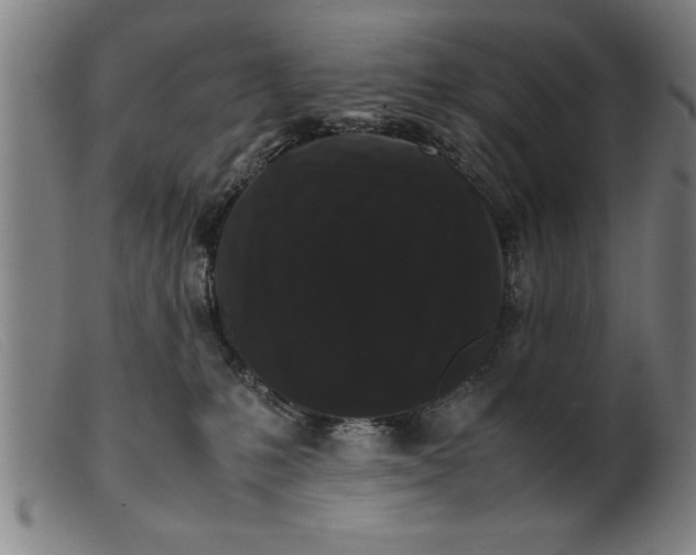 X0000099470231200805231838