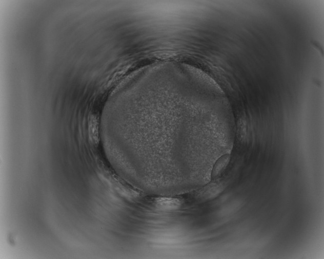 X0000099470234200805231838