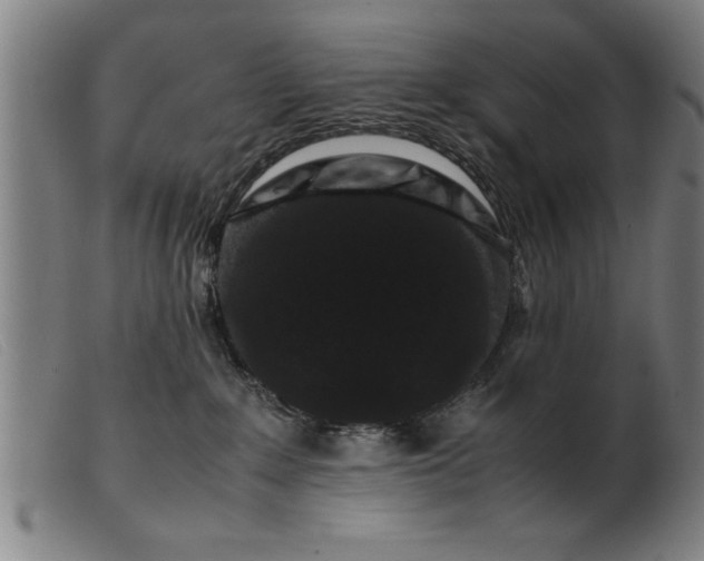 X0000099470235200805231838