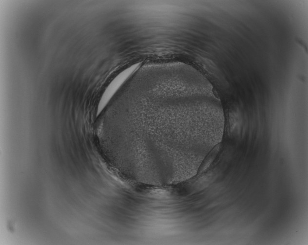 X0000099470236200805231838