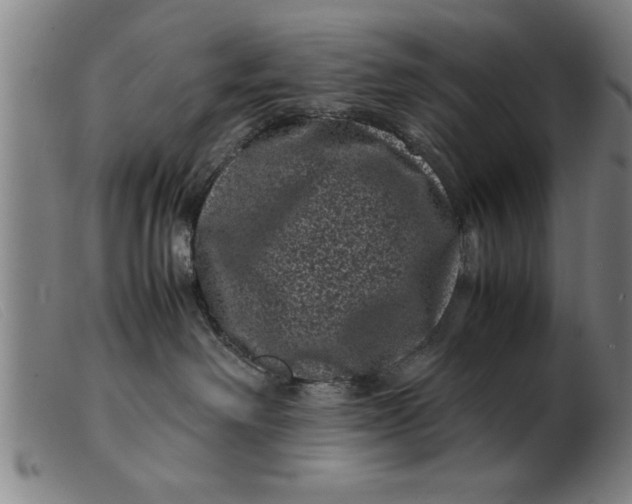 X0000099470238200805231838