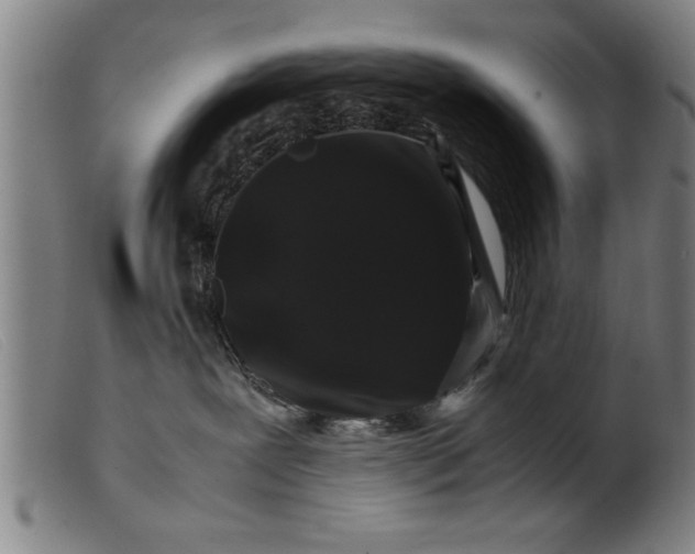 X0000099470239200805231838