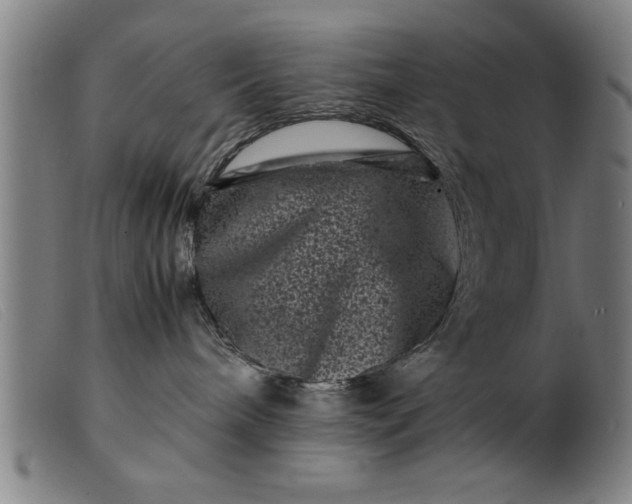 X0000099470240200805231838