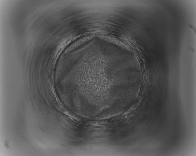 X0000099470241200805231837