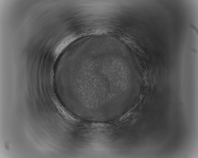 X0000099470242200805231837