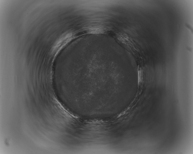 X0000099470243200805231837