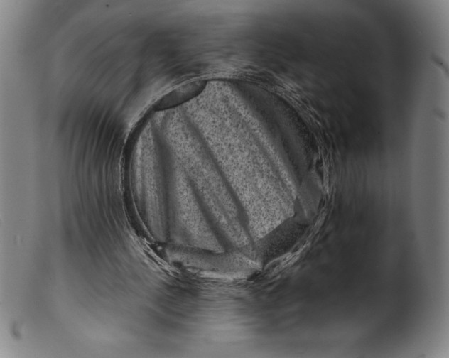 X0000099470244200805231837