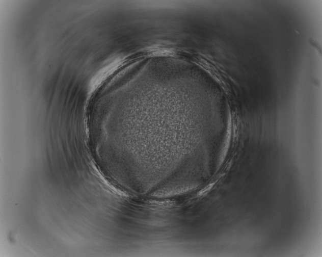 X0000099470245200805231837