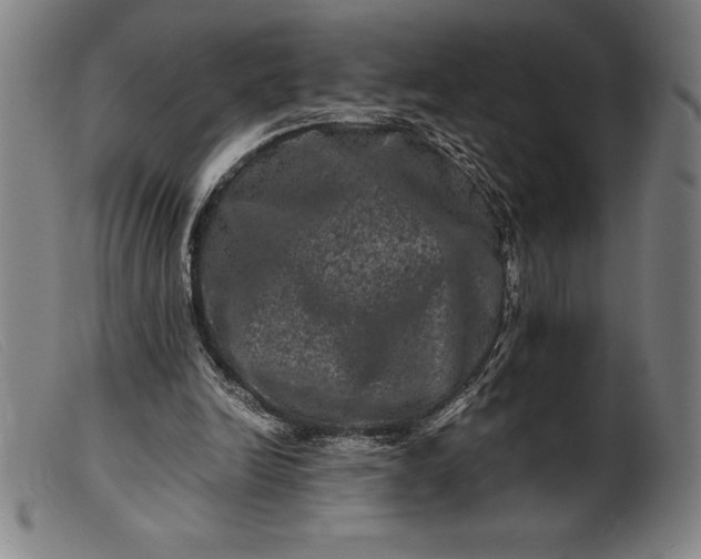 X0000099470246200805231837