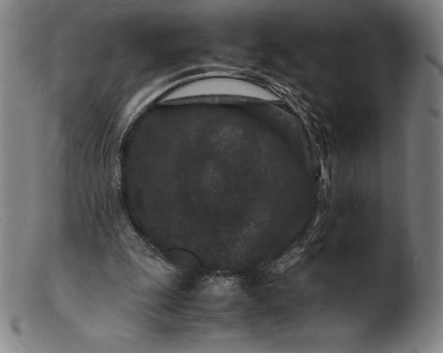 X0000099470247200805231837