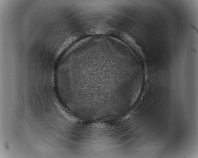 X0000099470250200805231837