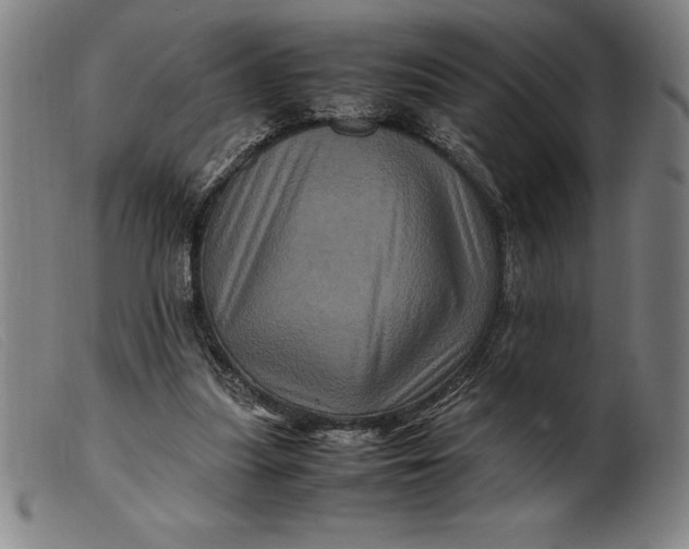 X0000099470251200805231837