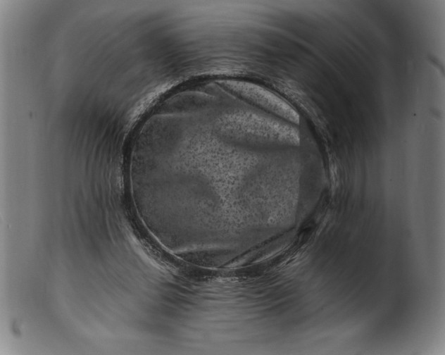 X0000099470252200805231837