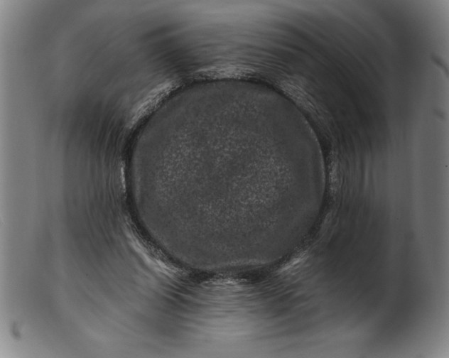 X0000099470254200805231837