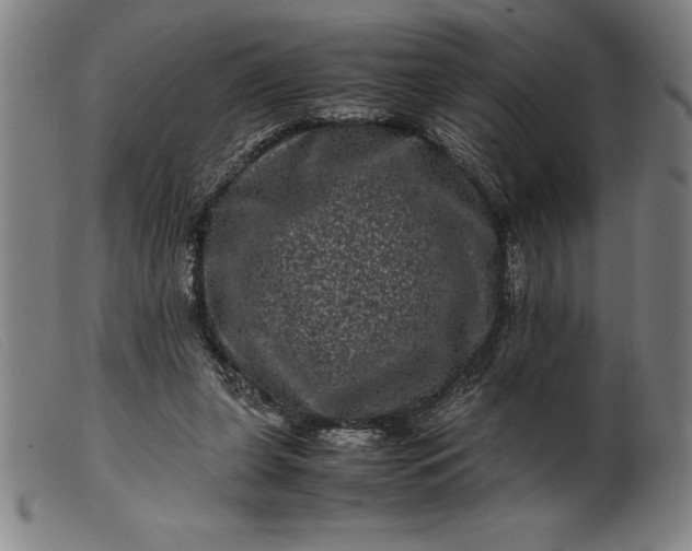 X0000099470255200805231837