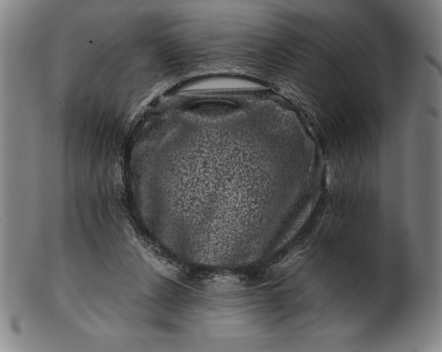 X0000099470256200805231837