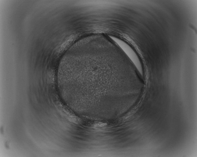 X0000099470257200805231837