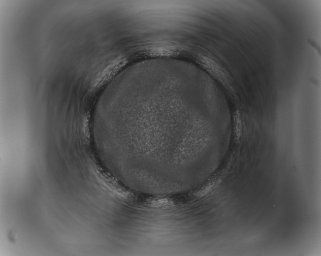 X0000099470258200805231837