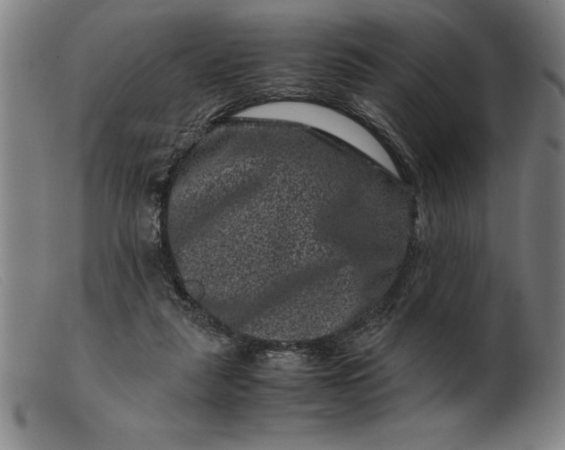 X0000099470259200805231837