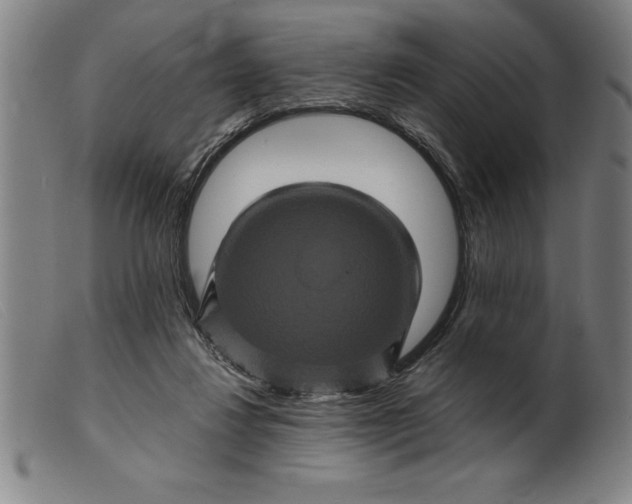 X0000099470260200805231837