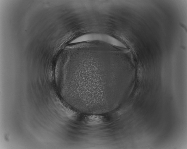 X0000099470261200805231837