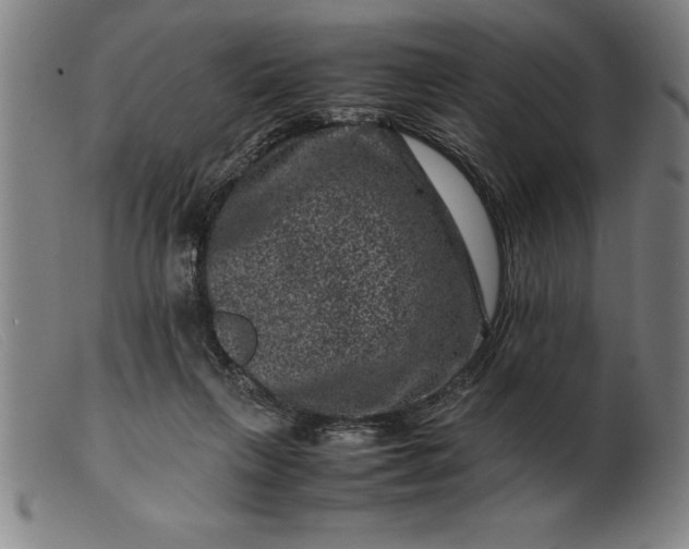 X0000099470263200805231837