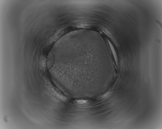 X0000099470265200805231837