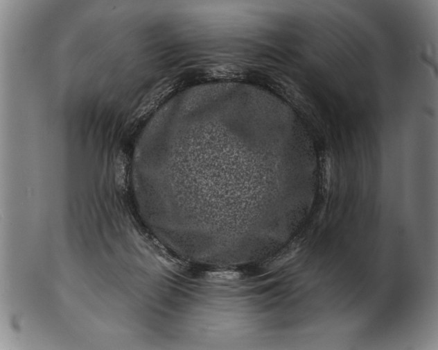 X0000099470266200805231837