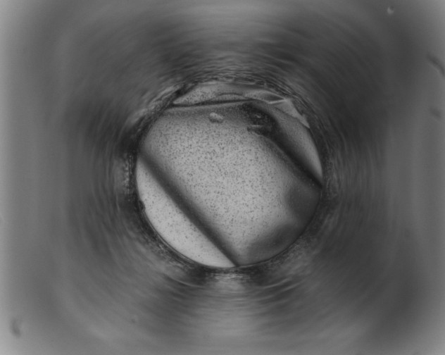 X0000099470268200805231837