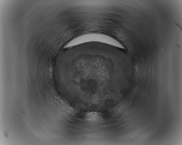 X0000099470269200805231837