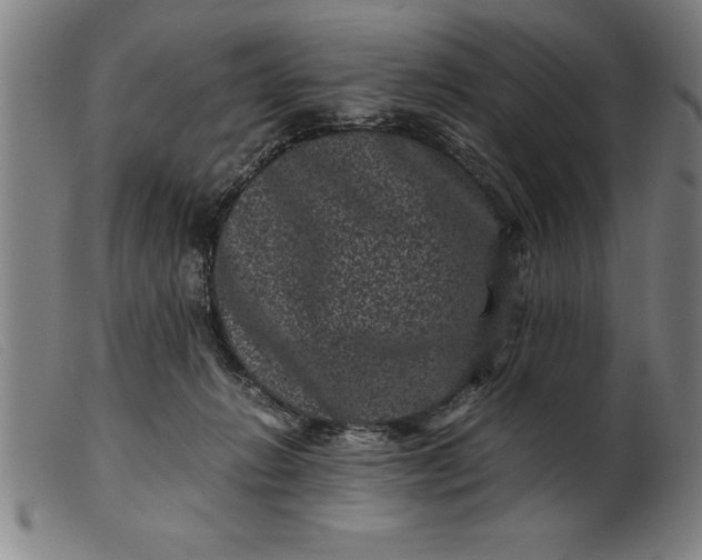 X0000099470270200805231837