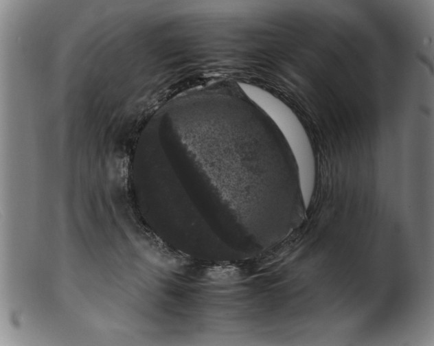 X0000099470271200805231837