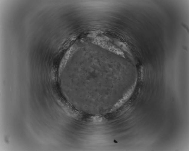 X0000099470272200805231837