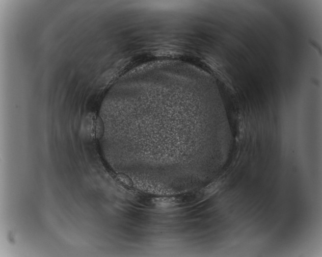 X0000099470273200805231837