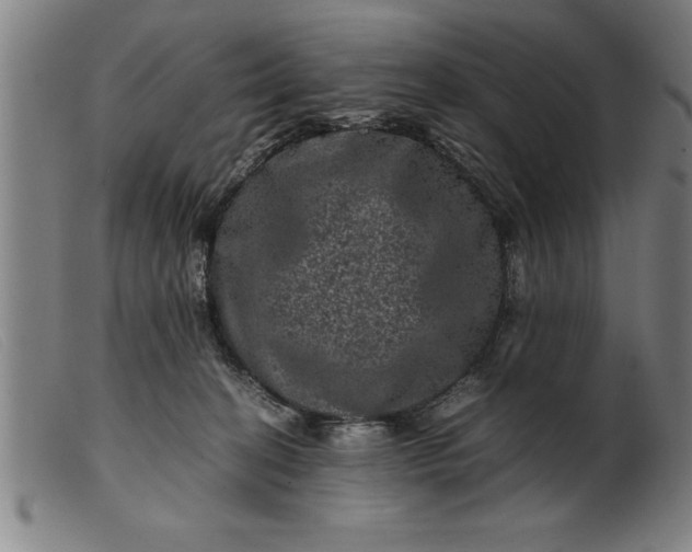 X0000099470274200805231837