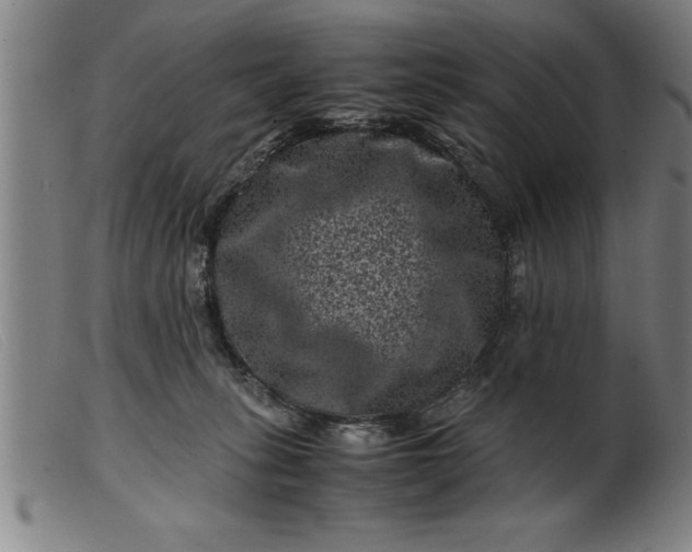 X0000099470275200805231837