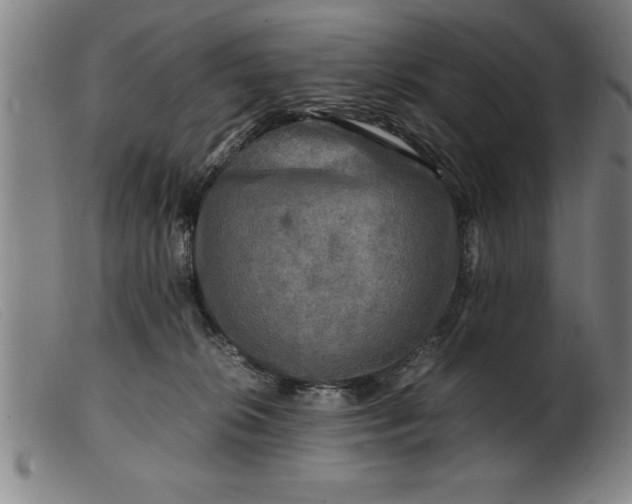 X0000099470276200805231837