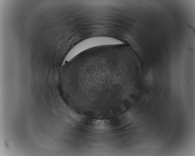 X0000099470277200805231837