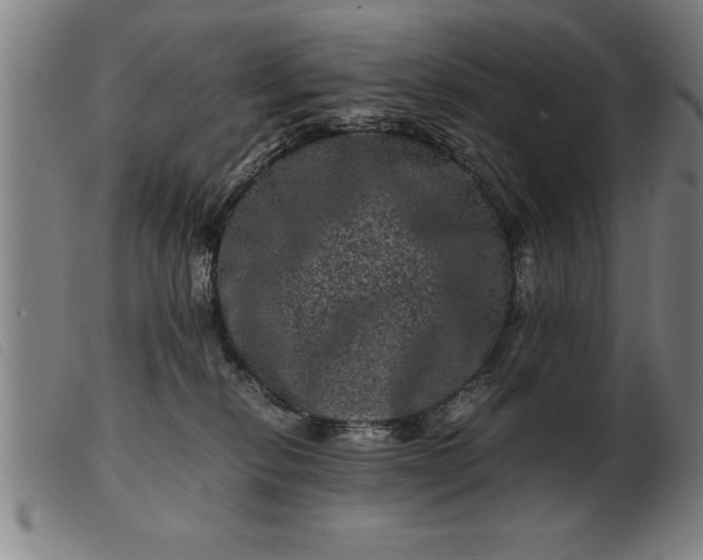 X0000099470278200805231837