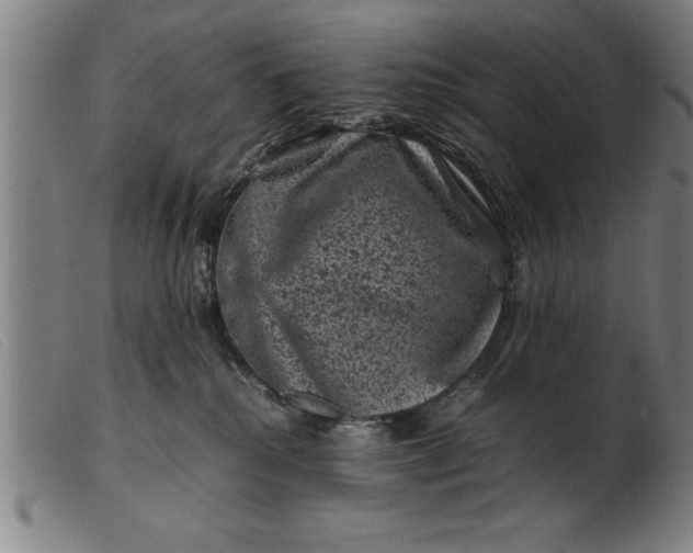 X0000099470280200805231837