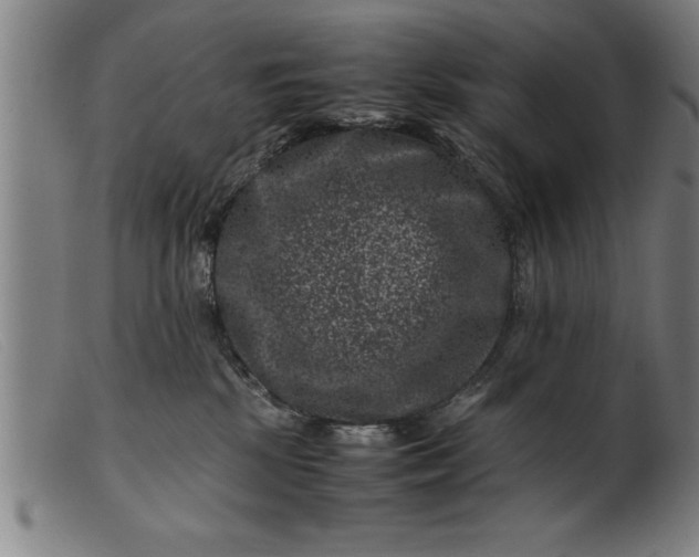 X0000099470281200805231837