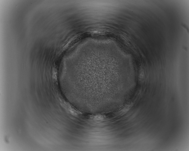 X0000099470282200805231837