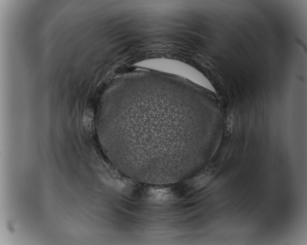 X0000099470283200805231837