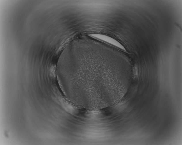 X0000099470286200805231838