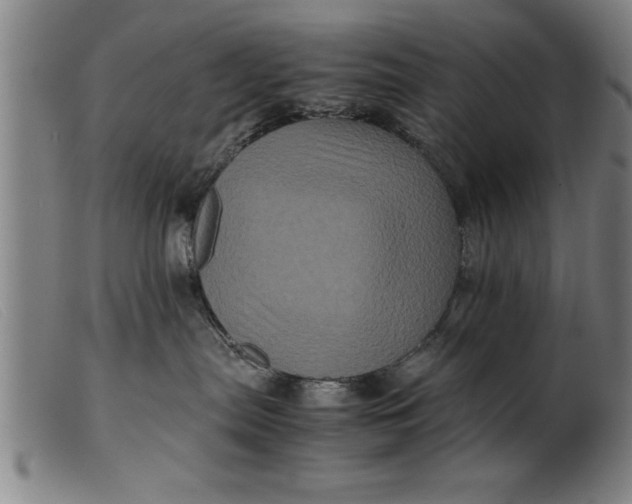 X0000099470287200805231838