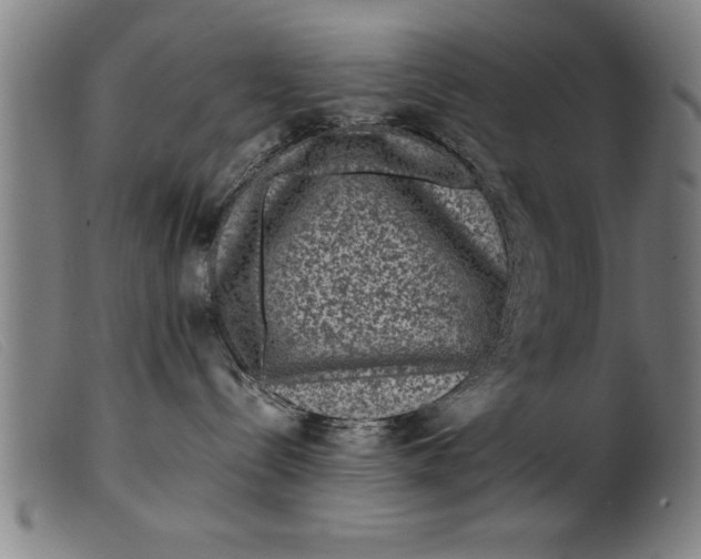 X0000099470288200805231838