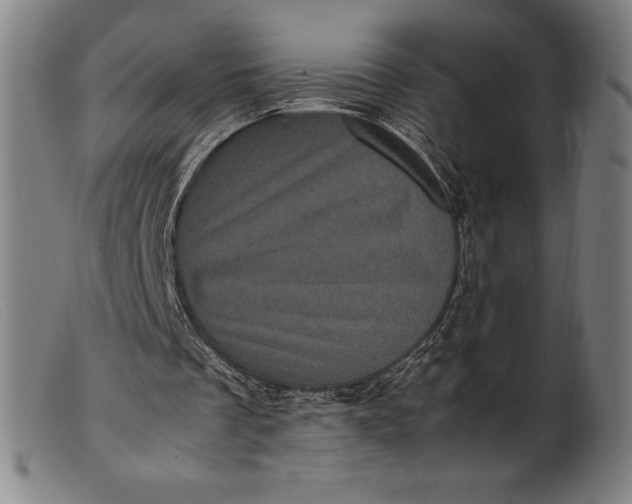 X0000099470289200805231837