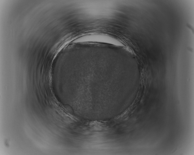 X0000099470290200805231837