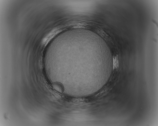 X0000099470291200805231837